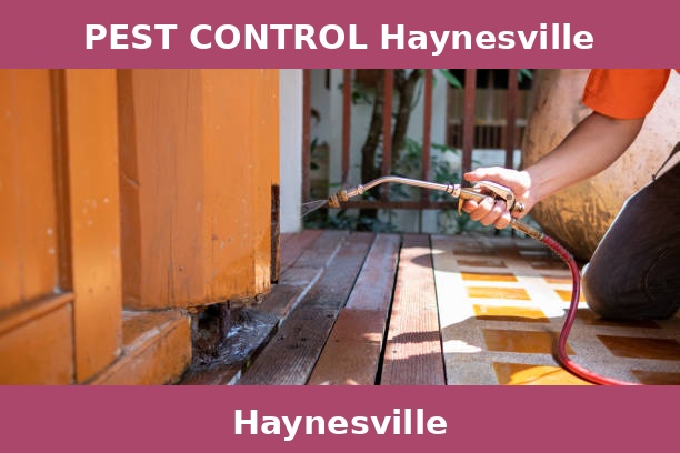 PEST CONTROL Haynesville